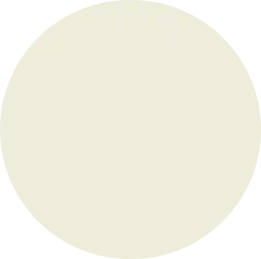 Layer 0